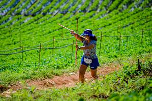 BIB: 1365
                            <button type="button" onclick="openModal(19164228)" class="btn btn-primary btn-sm float-right btn-popup" data-toggle="modal" data-target=".modal-high-quality">
                        <i class="fas fa-shopping-cart"></i> Add to Cart
                    </button>
                                            <button type="button" onclick="isThisMe(19164228, true)" class="btn btn-success btn-sm float-right btn-popup btn-isme hidden" data-toggle="tooltip" data-placement="bottom" title="นี่คือรูปของคุณใช่ไหม คลิกที่นี่เพื่อเอาเข้าอัลบั้ม">
                        <i class="fas fa-plus"></i> Add to album
                    </button>
                    <button type="button" onclick="isThisMe(19164228, false)" class="btn btn-warning btn-sm float-right btn-popup btn-isnotme hidden">
                        <i class="fas fa-ban"></i> Remove from album
                    </button>